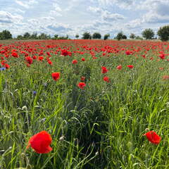 22-05-27 17-23-25 0917